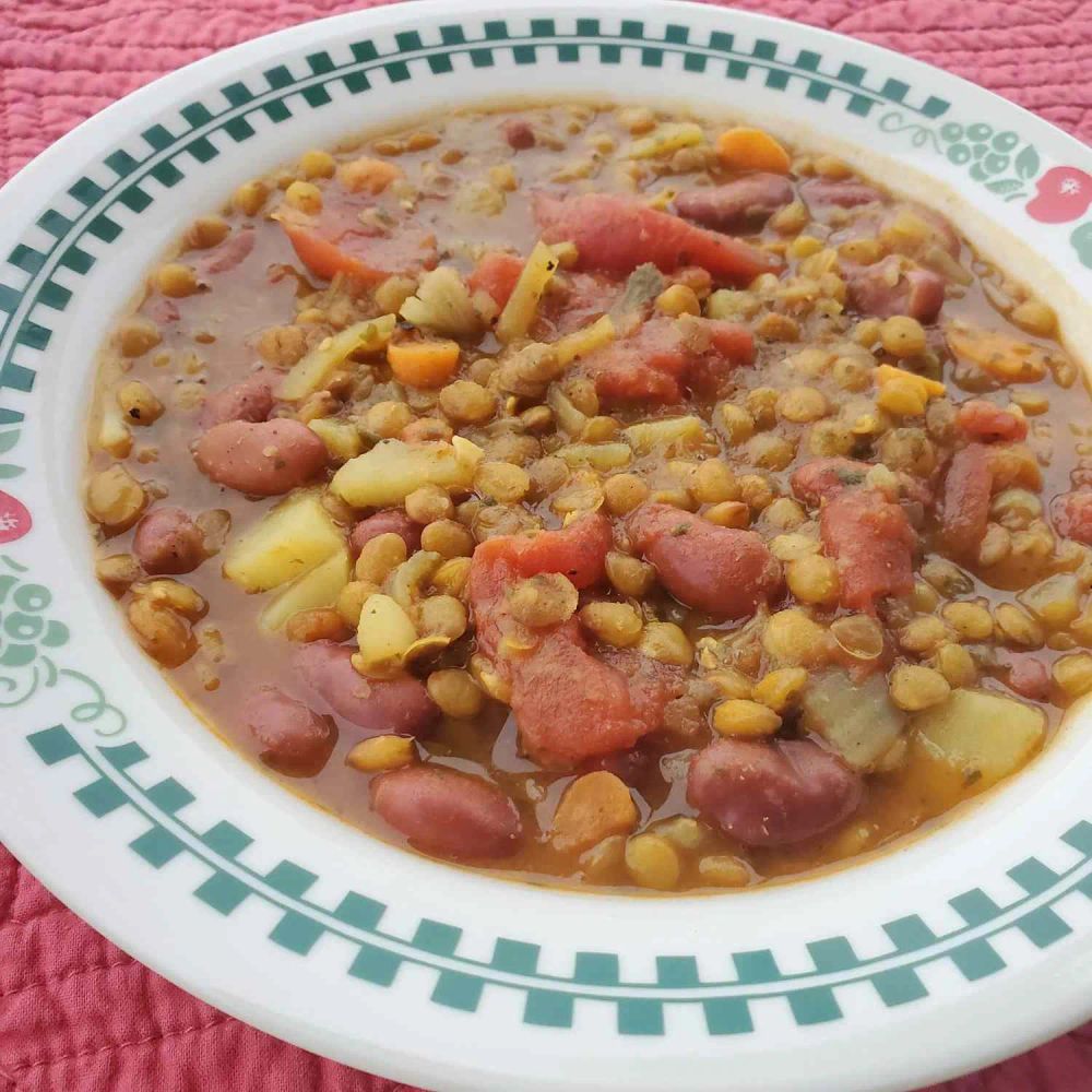 Vegetarian Stew