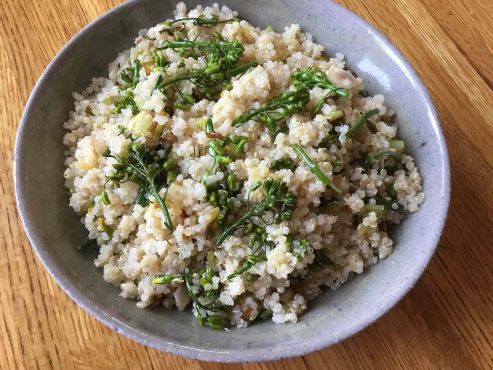 Quinoa Salad with Kale Buds