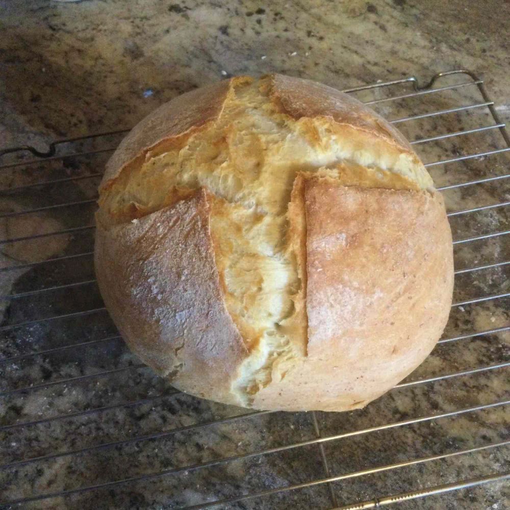 Crusty Dutch Oven Bread