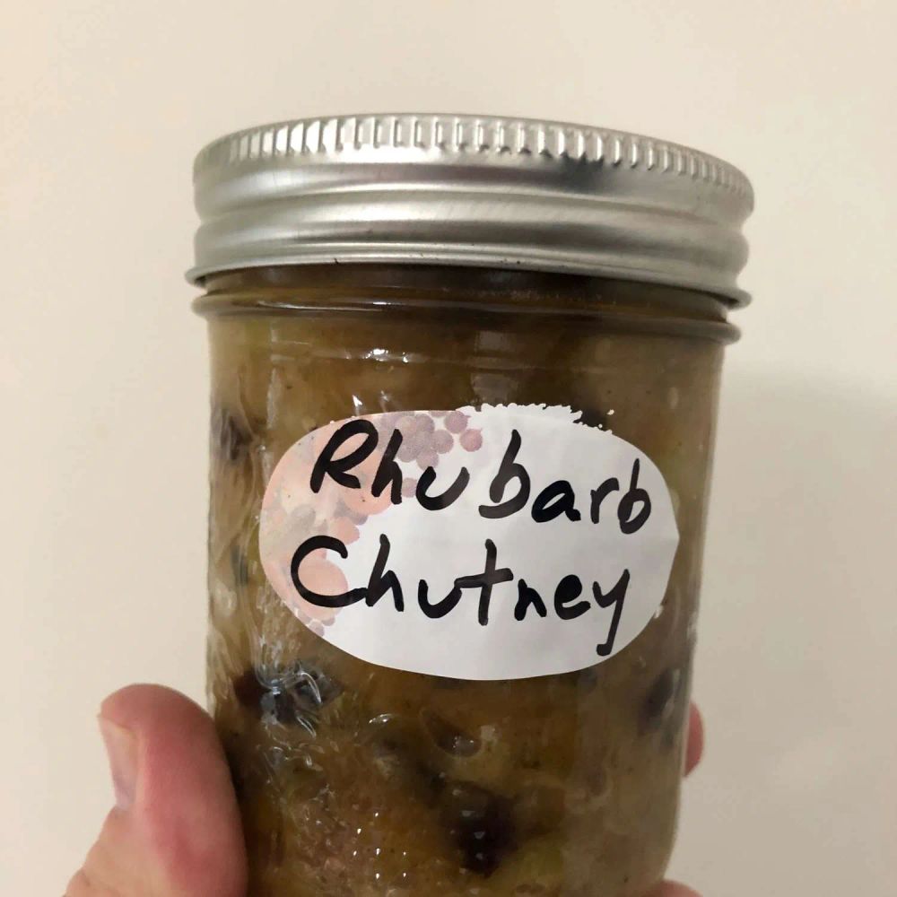 Princess G's Rhubarb Chutney