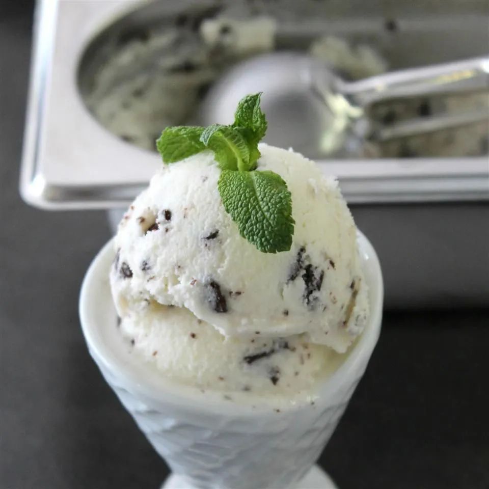 Vegan Mint Chocolate Chip Ice Cream