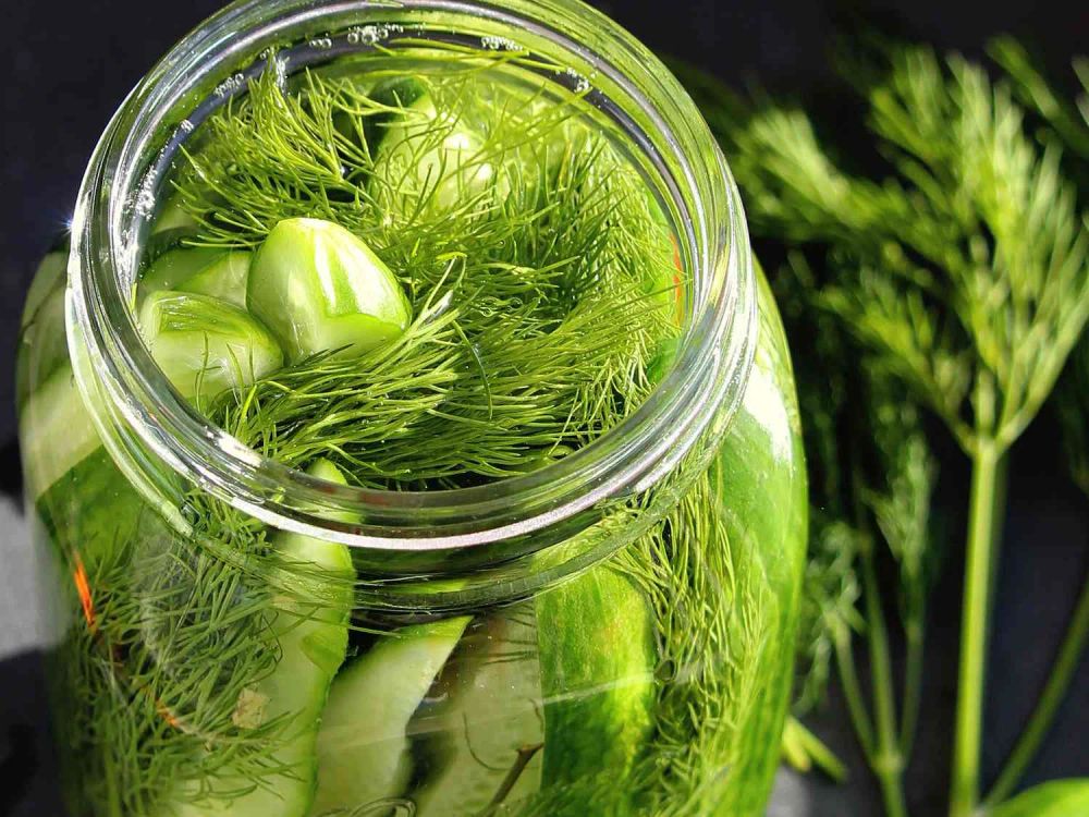 Fermented Kosher-Style Dill Pickles