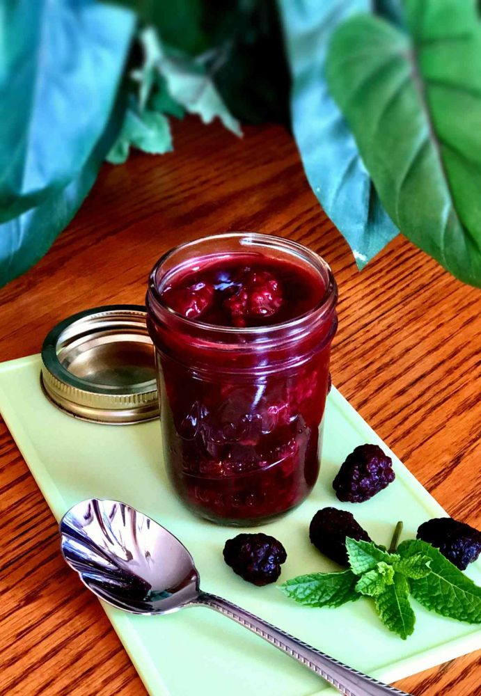 Blackberry Compote Sauce