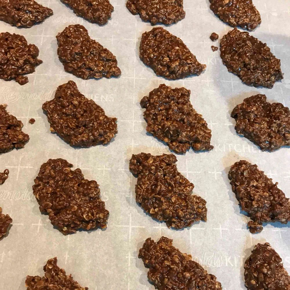 Unbaked Chocolate Oatmeal Cookies