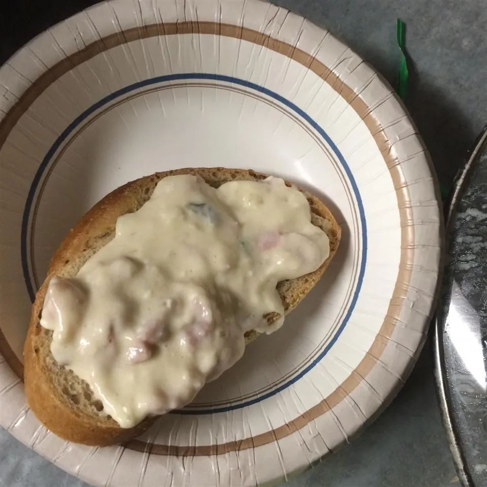 Anne's Hot Ham and Swiss Dip