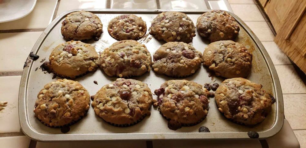 Raspberry-White Chocolate Chip Muffins