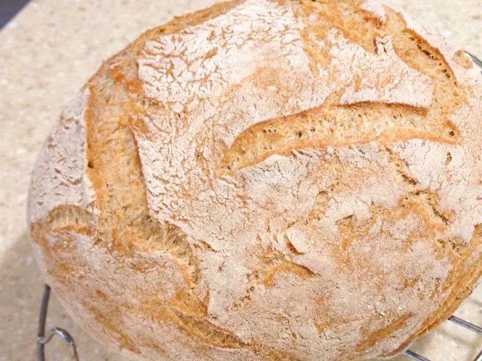 Dutch Oven Whole Wheat Bread