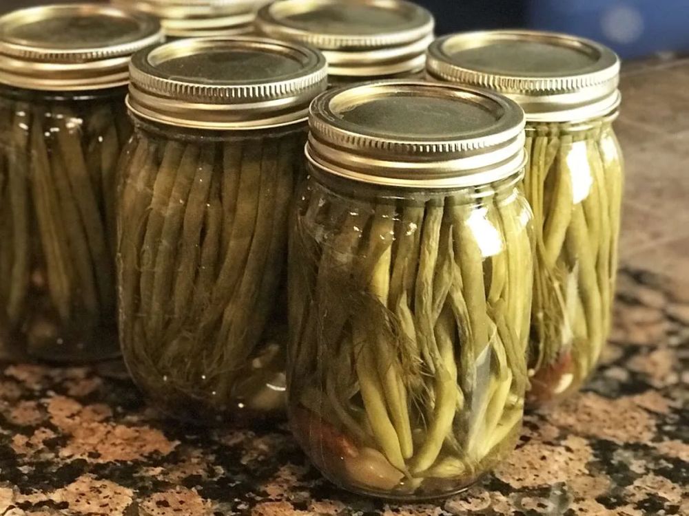 Crisp Pickled Green Beans