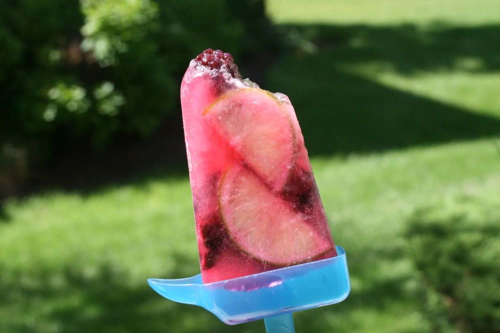 Blackberry-Lime Gin and Tonic Ice Pops