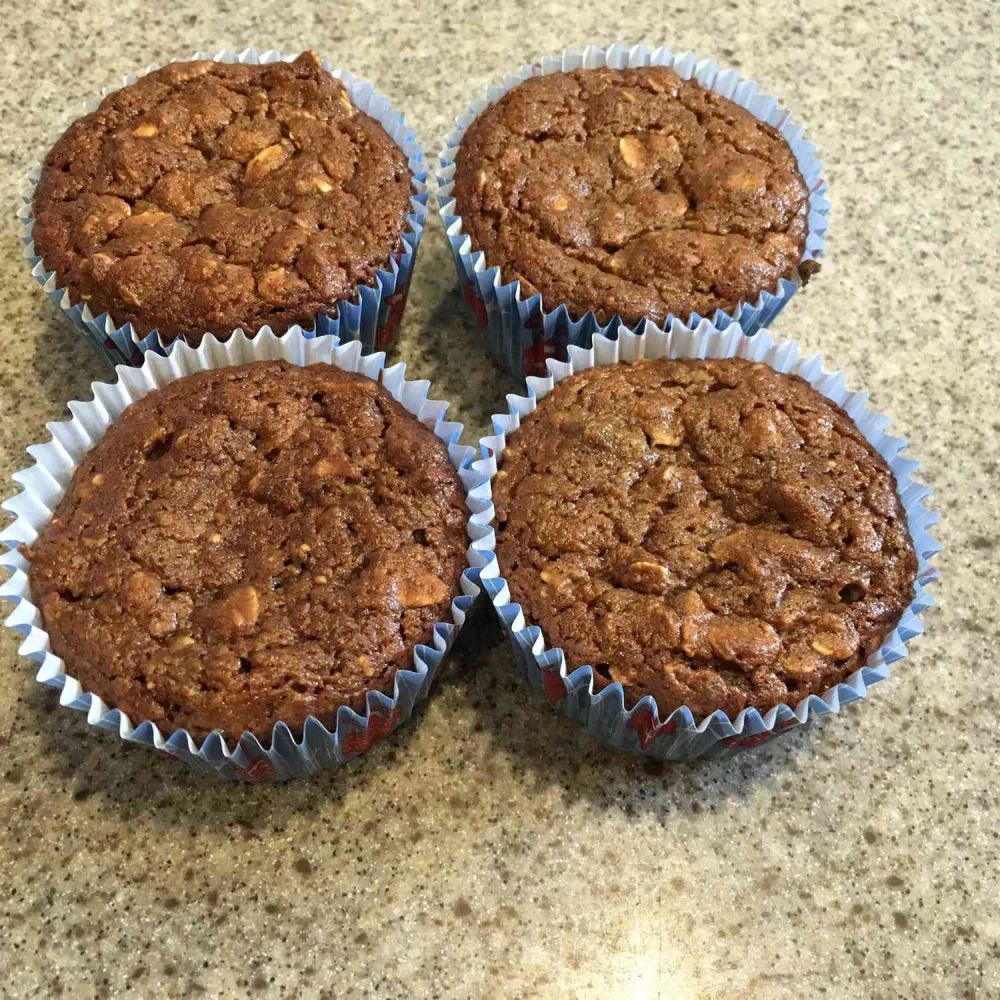 Fresh Fig Oatmeal Muffins