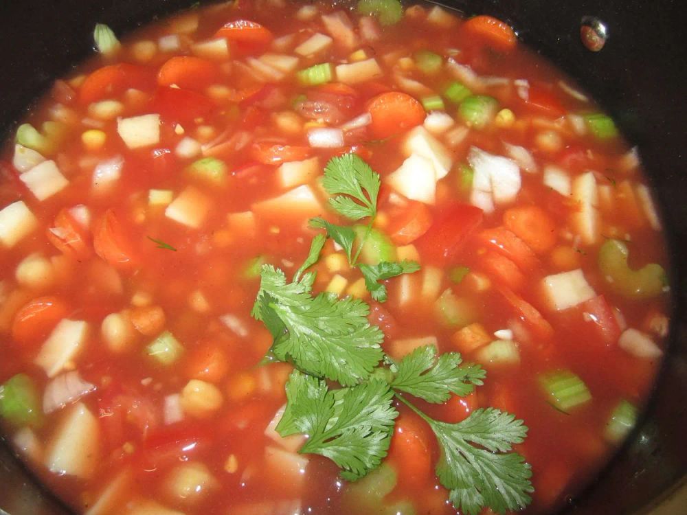 Hearty Vegetable Soup