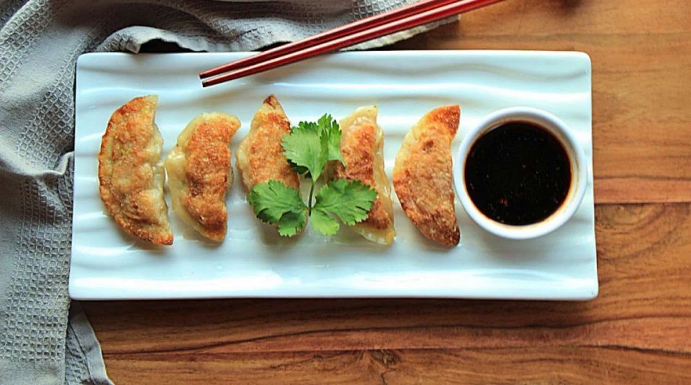 Delightful Japanese Pork and Leek Gyoza