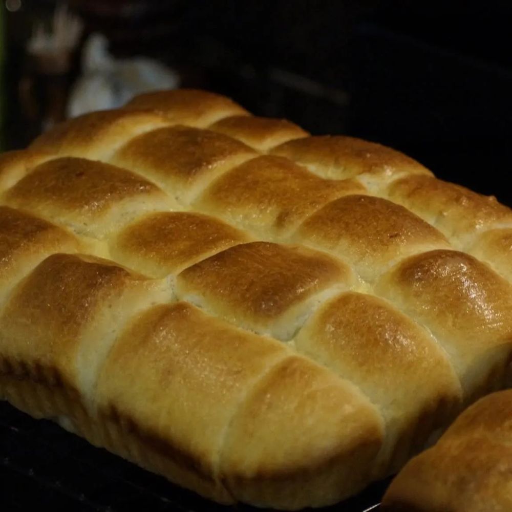 Soft Dinner Rolls