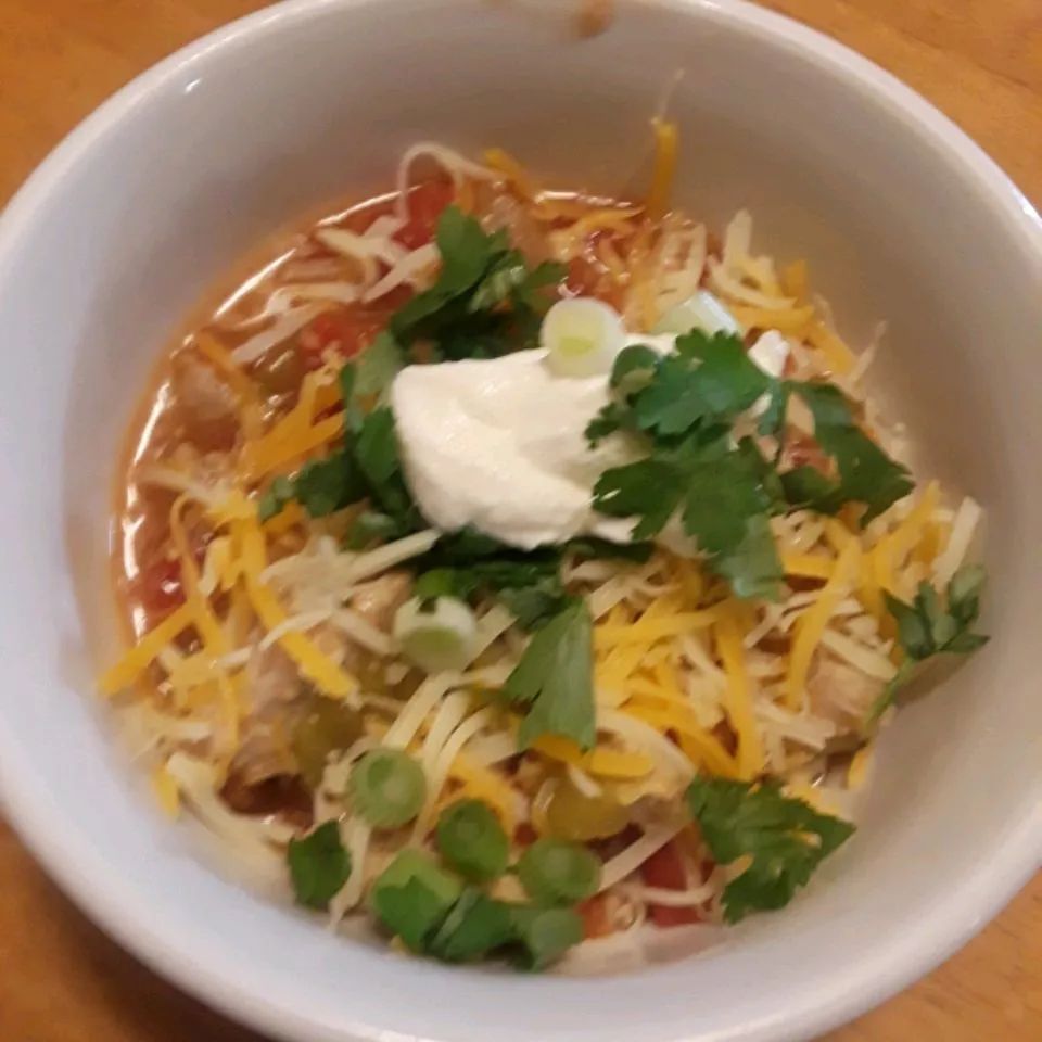 Mexican Pork and Green Chile Stew