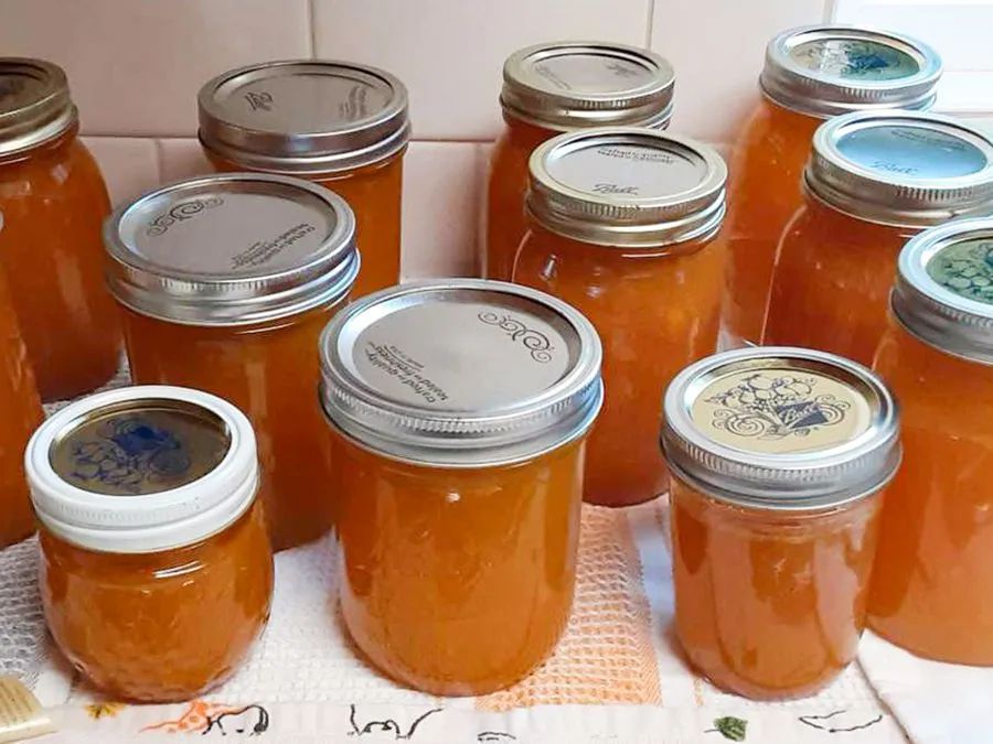 Nectarine Jam