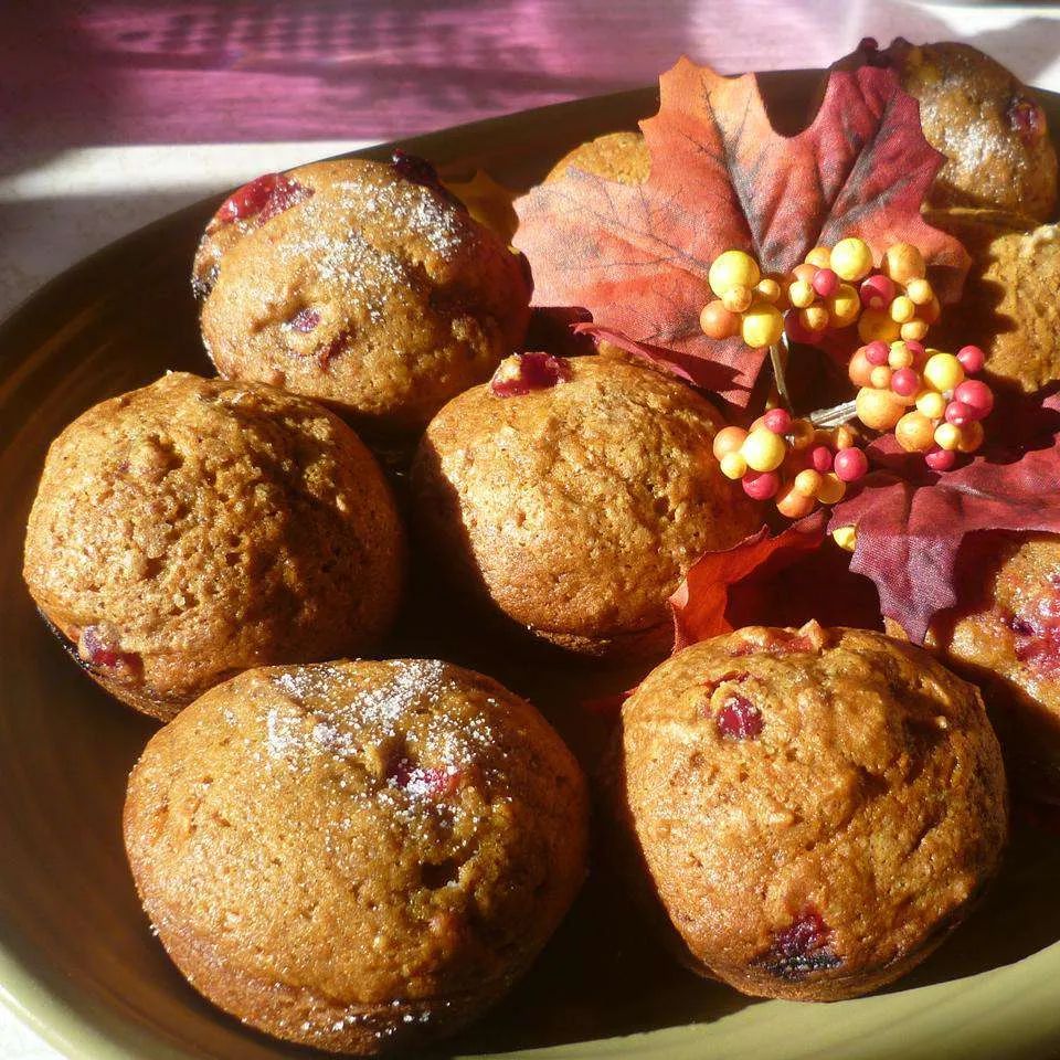 Quick Cranberry Pumpkin Muffins