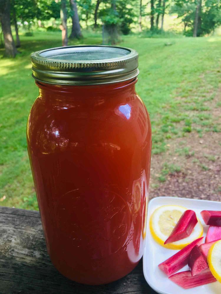 Rhubarb Iced Tea