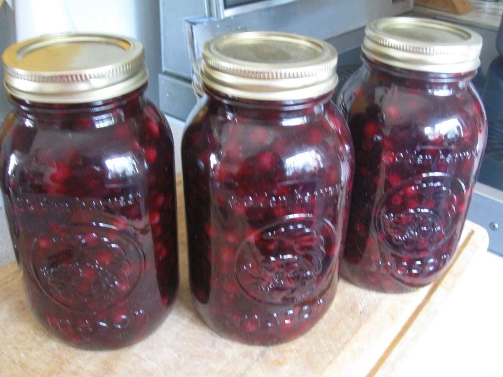 Saskatoon Berry Pie Filling