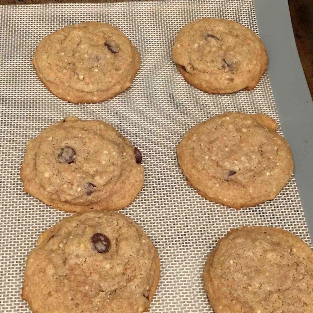 Whole White Wheat and Honey Chocolate Chip Cookies