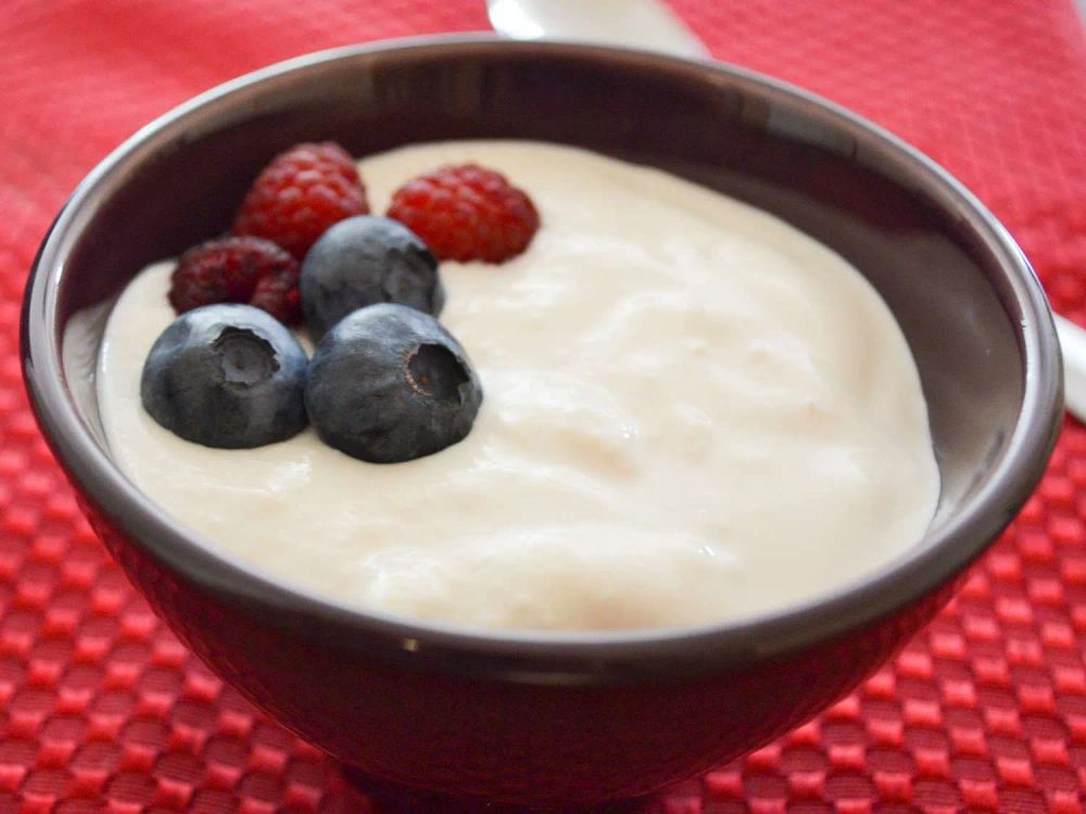 Authentic Homemade Yogurt