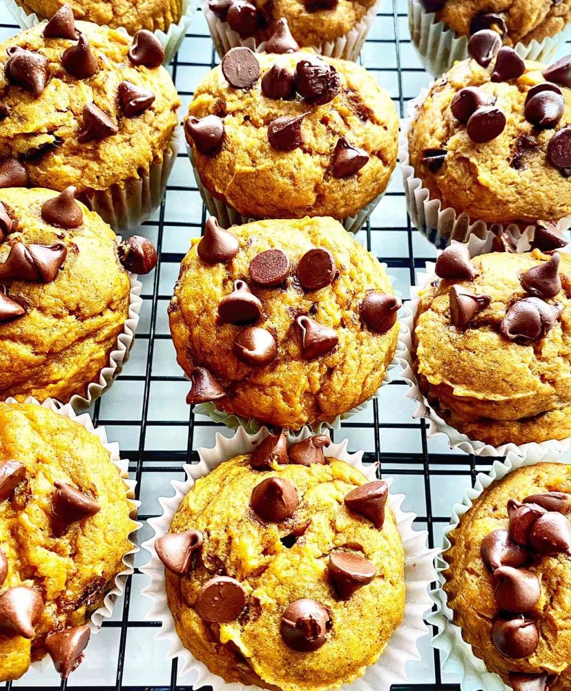 Light Pumpkin Chocolate Chip Muffins