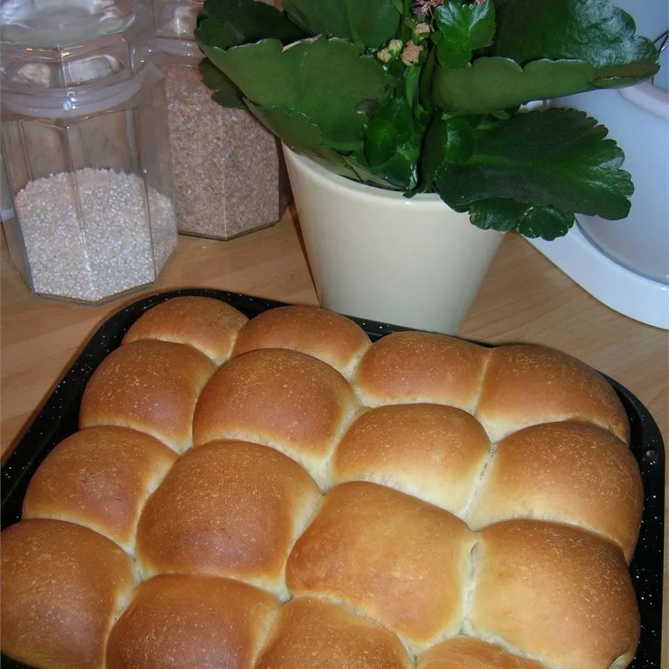 Homemade Pan Rolls