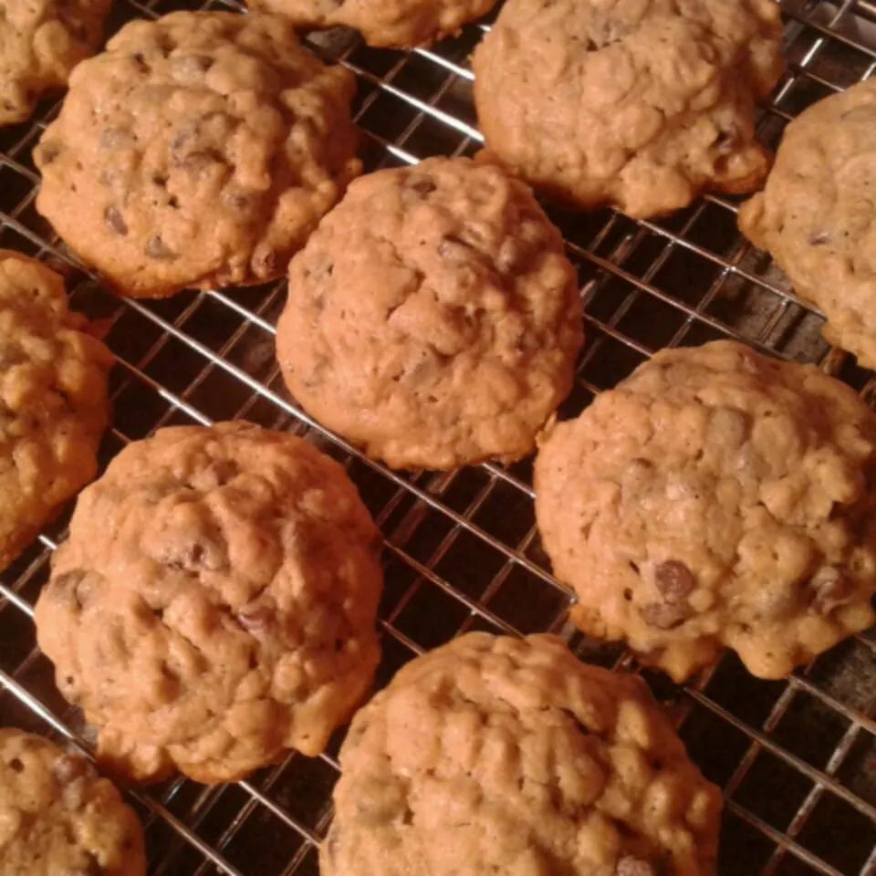 Oatmeal Peanut Butter and Chocolate Chip Cookies