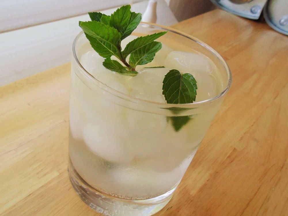 Simple Mint Julep