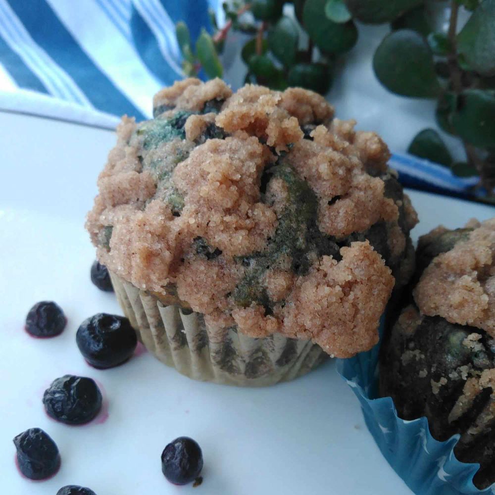 Sourdough Blueberry Muffins