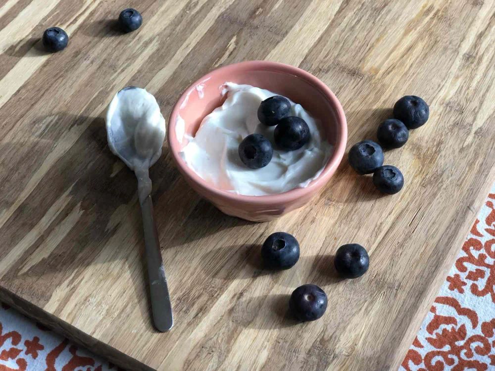 Instant Pot Greek Yogurt