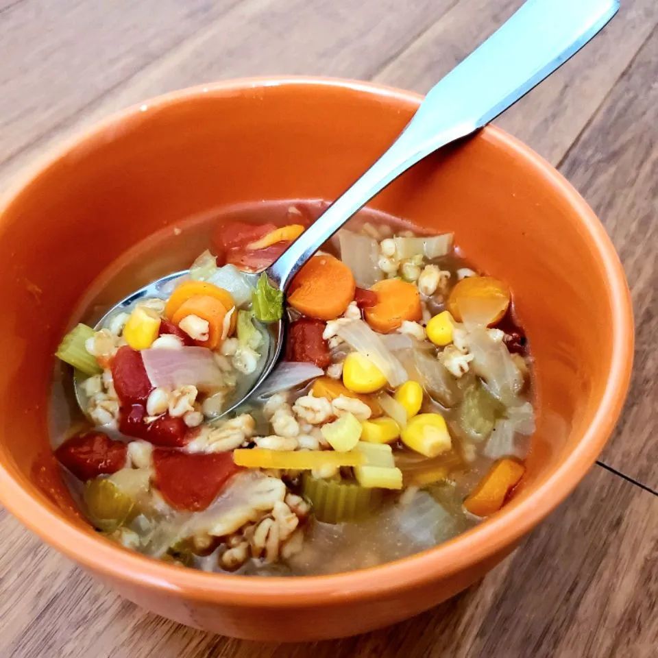 Instant Pot Vegan Vegetable and Barley Soup