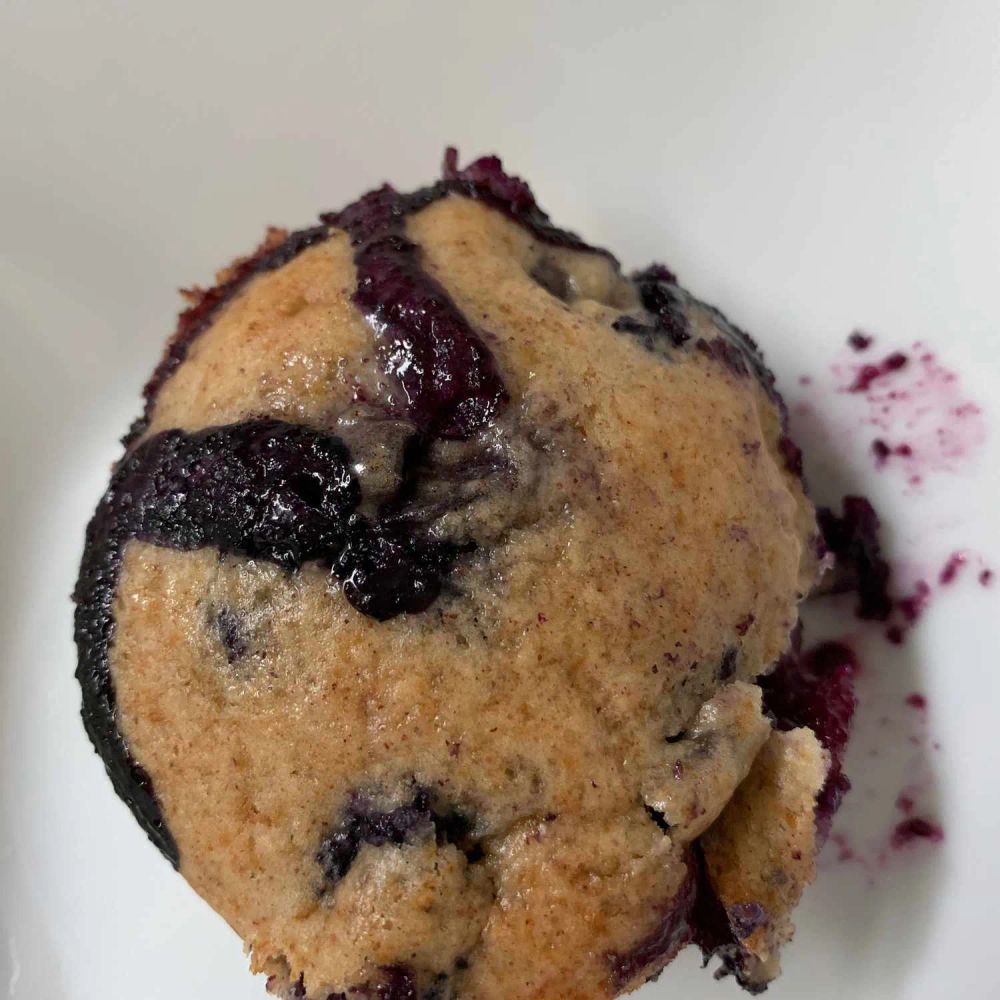 Best 100 Calorie Blueberry Muffins