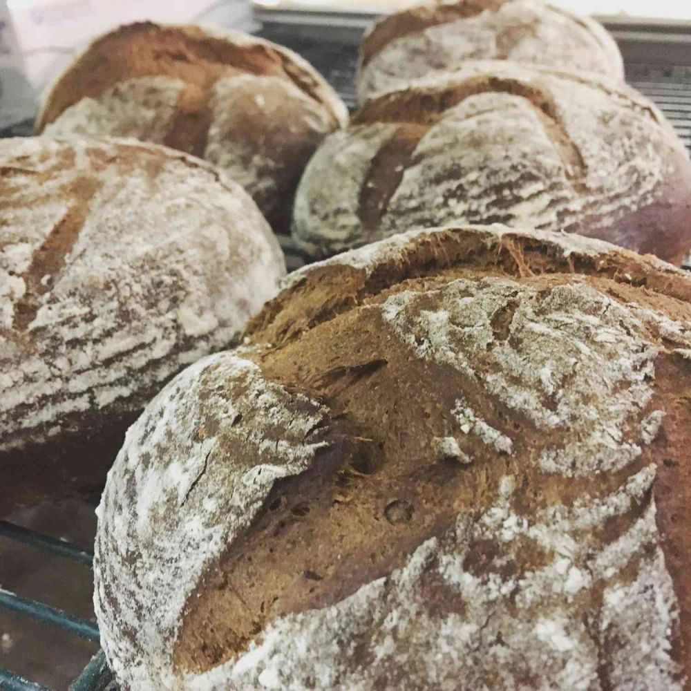 Swedish Limpa Rye Bread