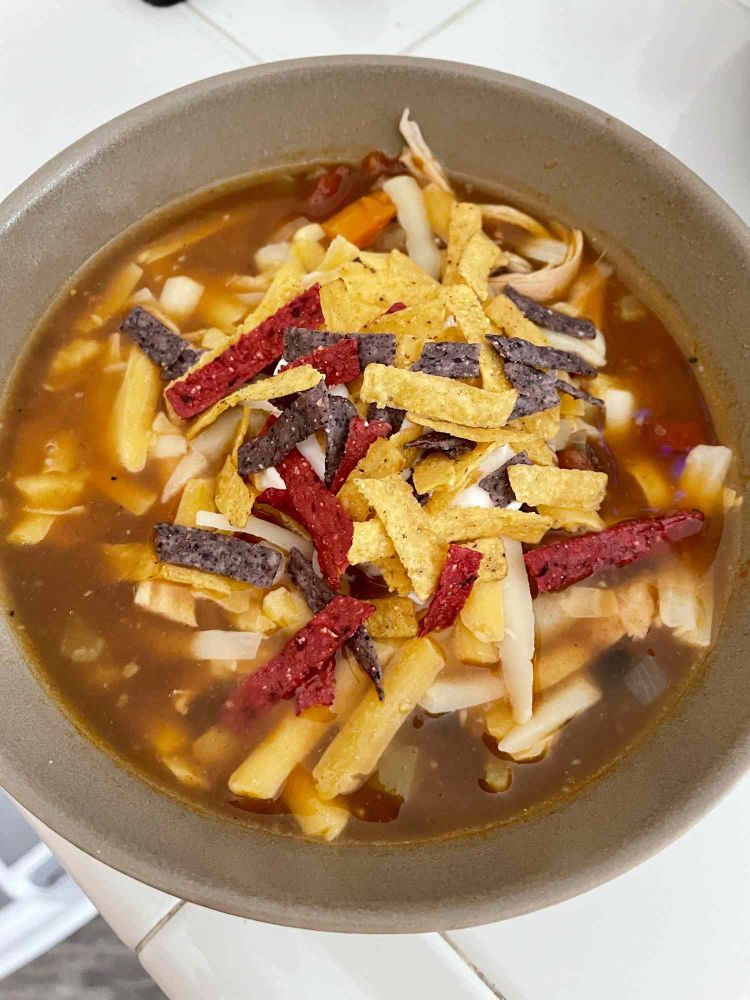 Instant Pot Chicken and Vegetable Tortilla Soup