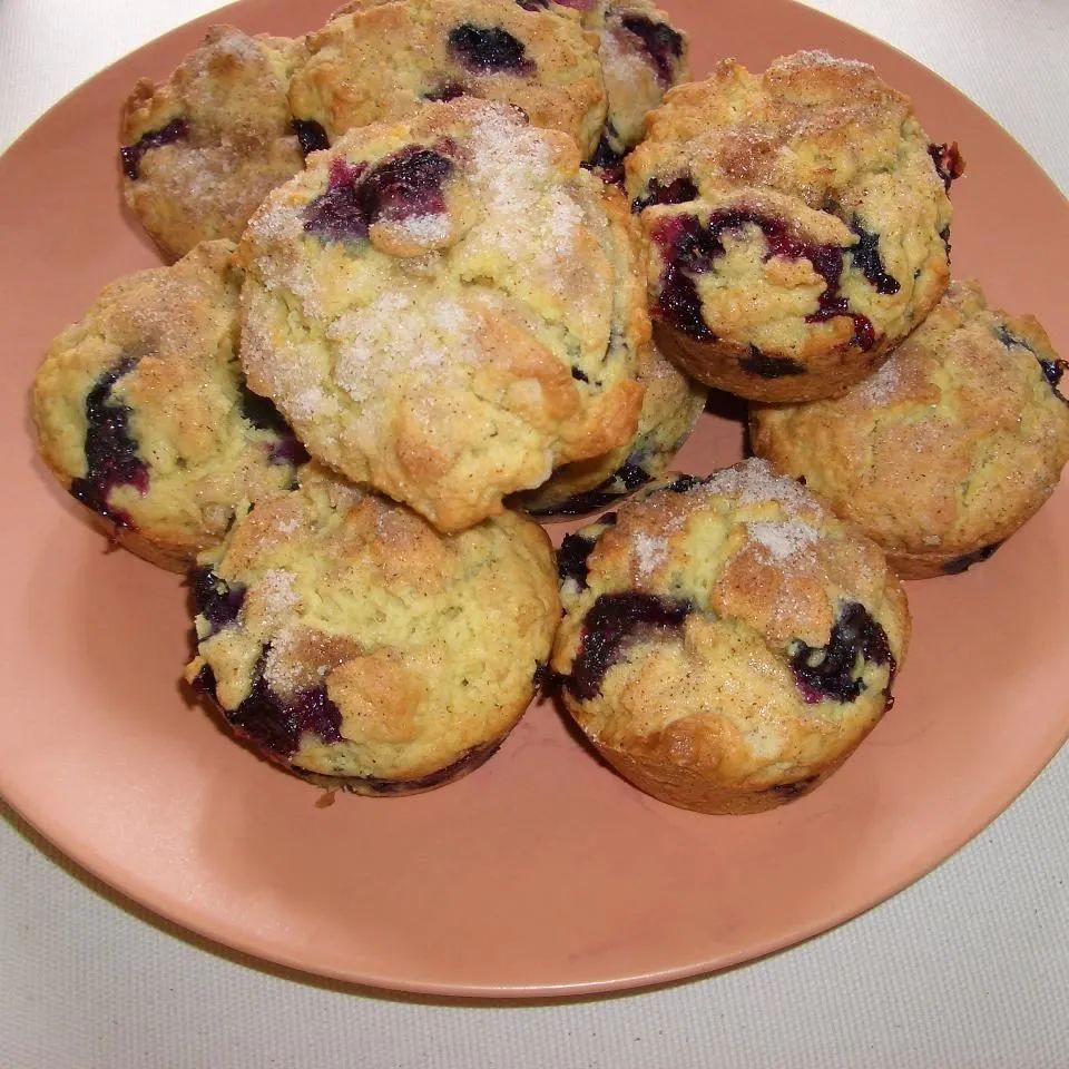 Blueberry Oat Muffins