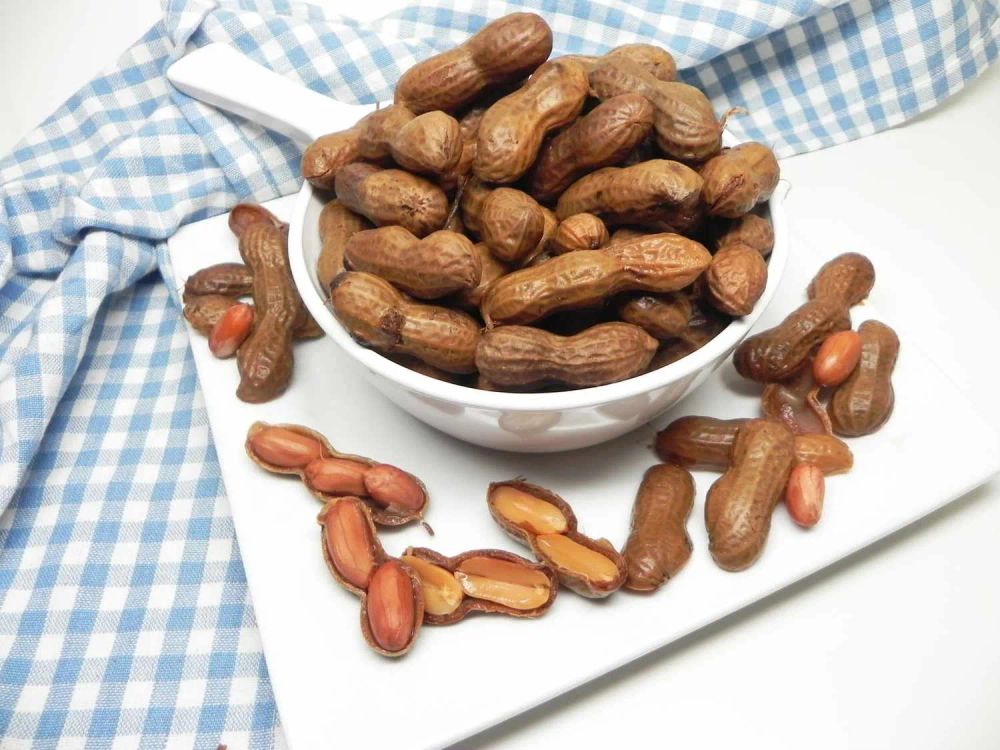 Instant Pot® Cajun Boiled Peanuts