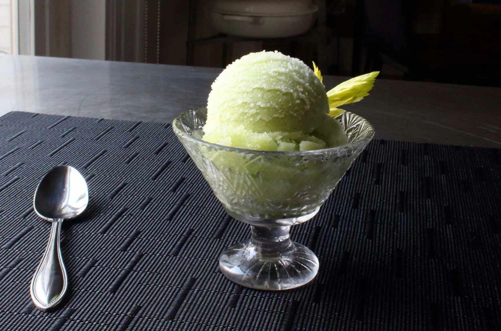 Celery Sorbet