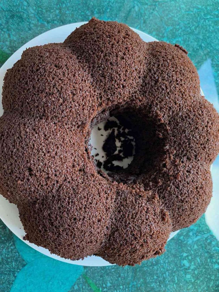 Mississippi Mud Cake III