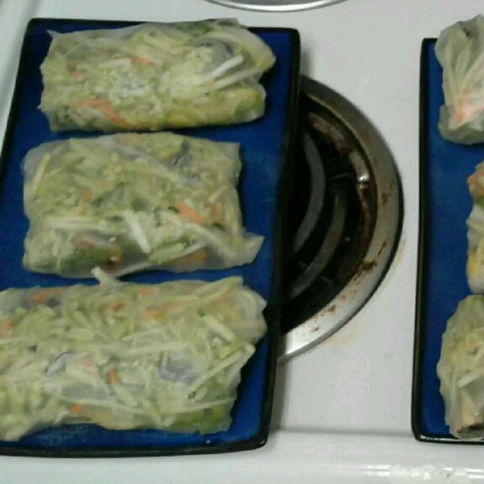 Vietnamese Salad Rolls