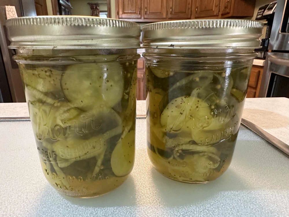 Microwave Bread-and-Butter Pickles