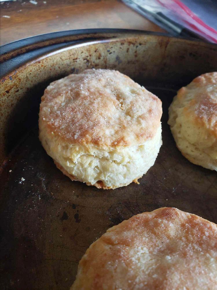 Greek Yogurt Biscuits