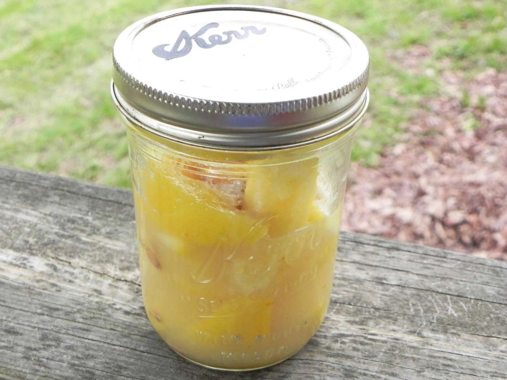 Citrons Confits Express (Quick Preserved Lemons)