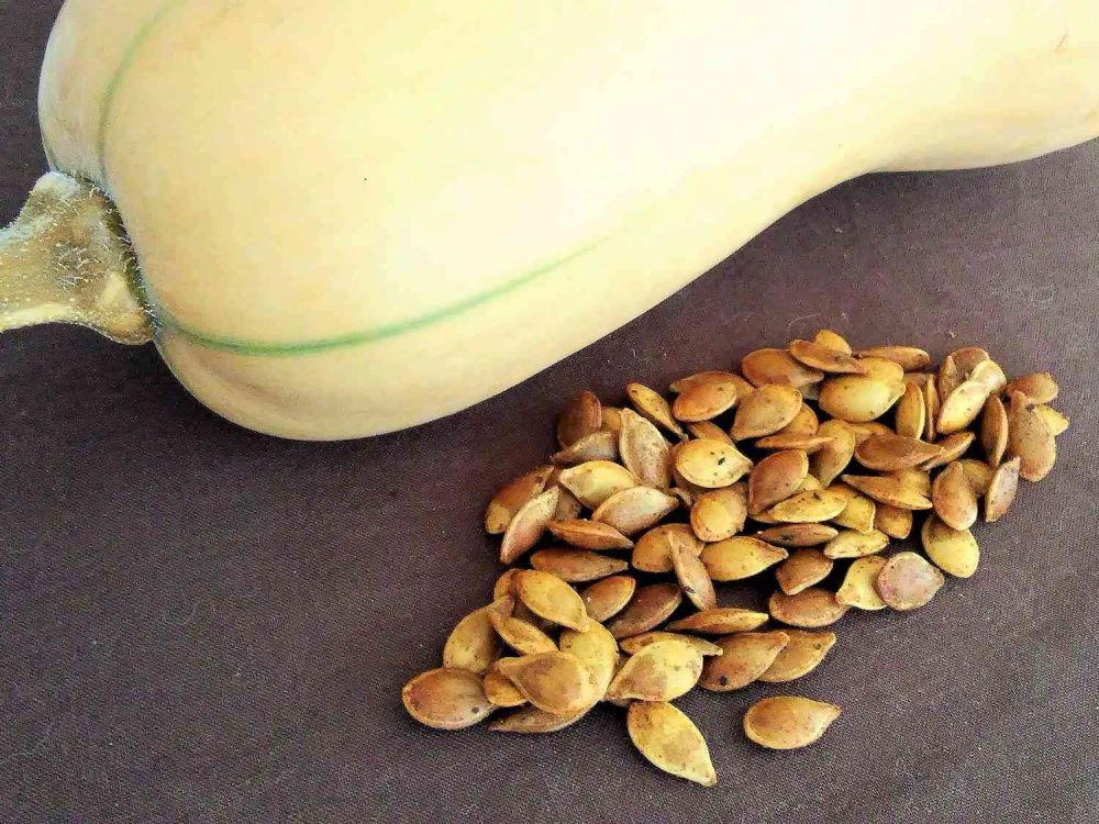 Roasted Winter Squash Seeds