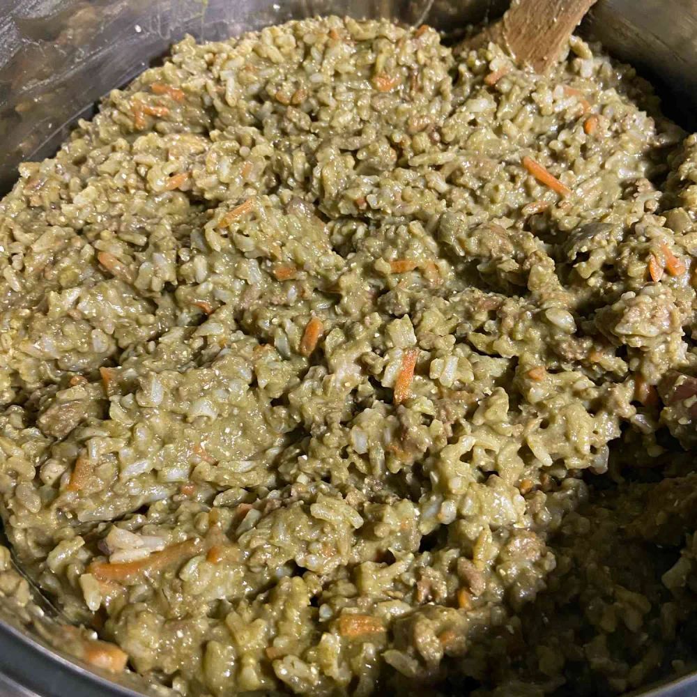 Homemade Dog Food with Beef