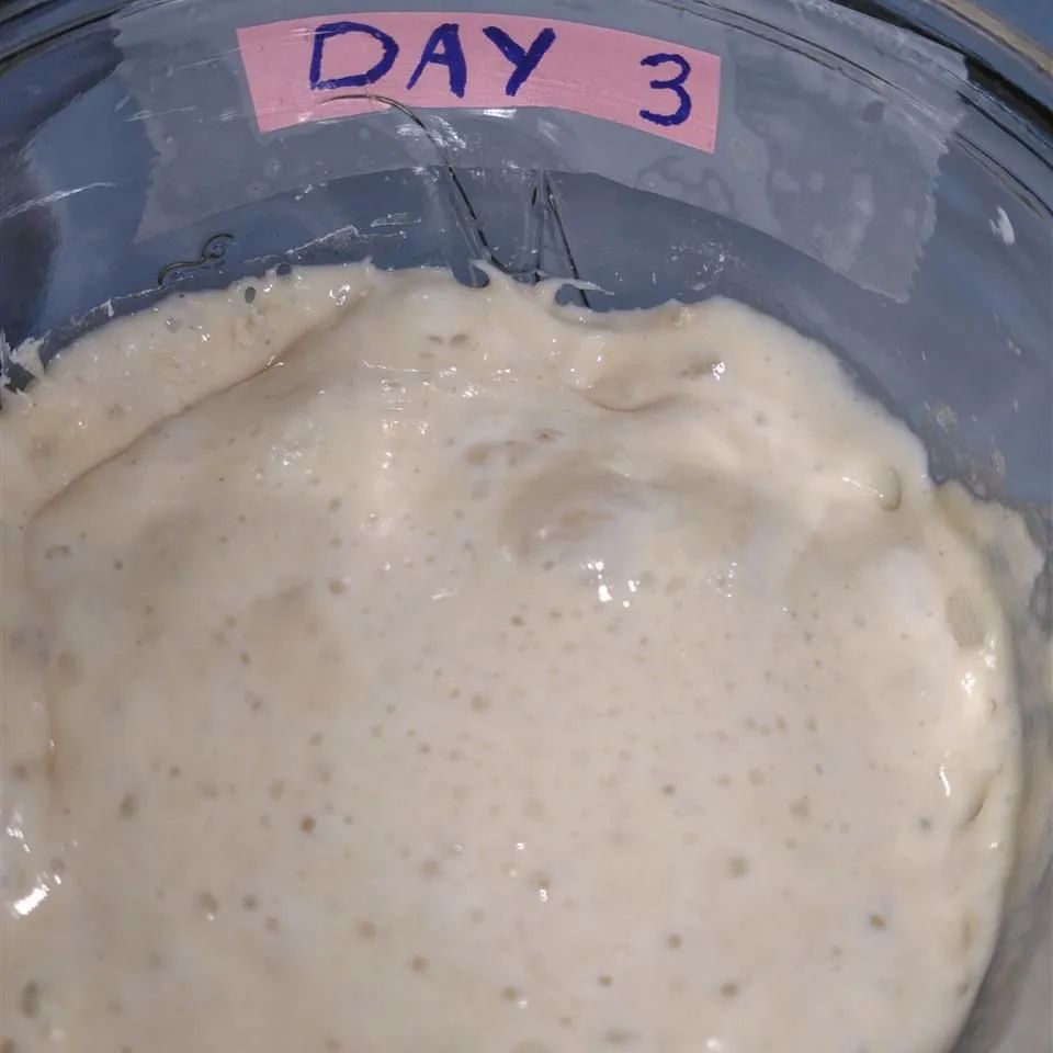 No Commercial Yeast Starter