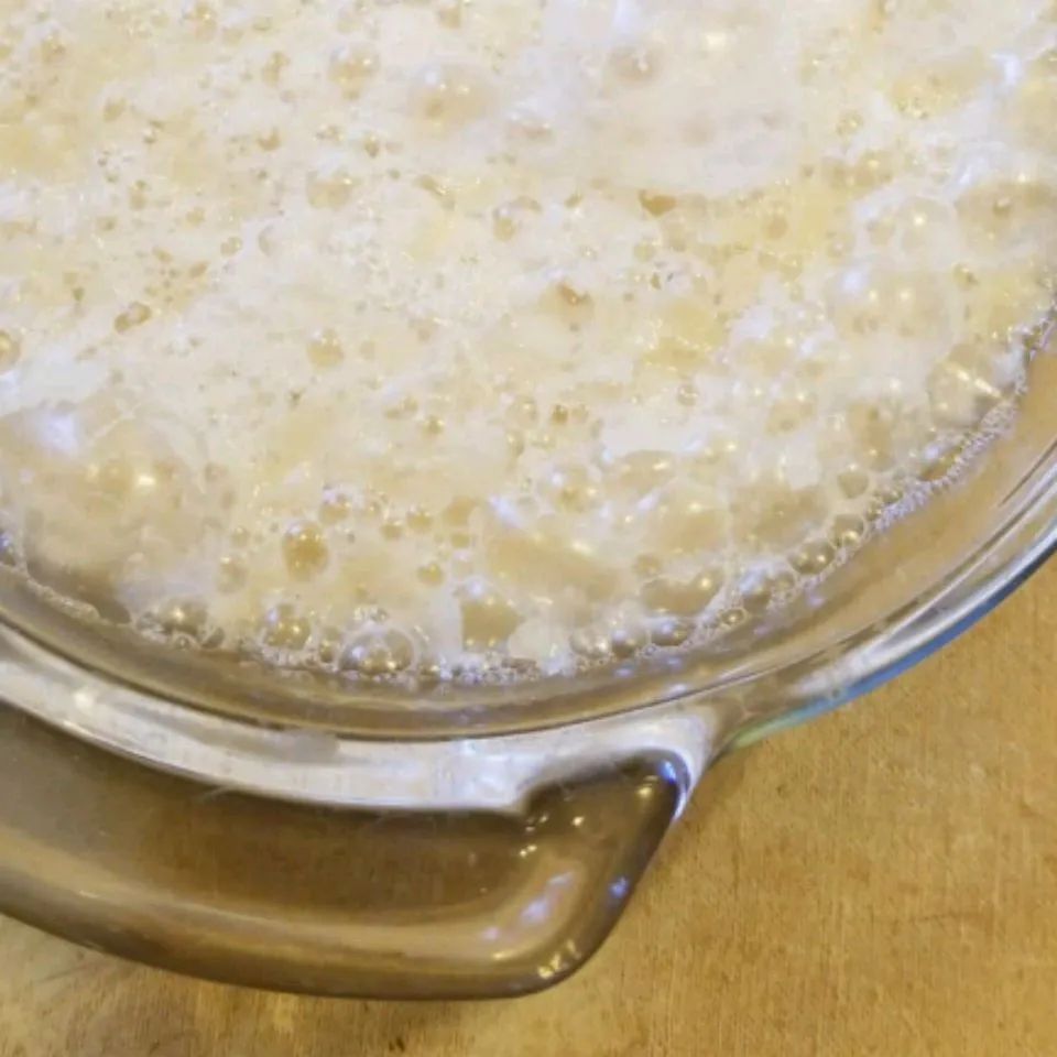 Sourdough Starter I