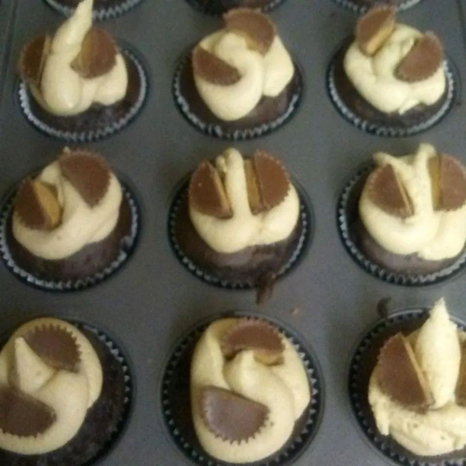 Chocolate Peanut Butter Cupcakes