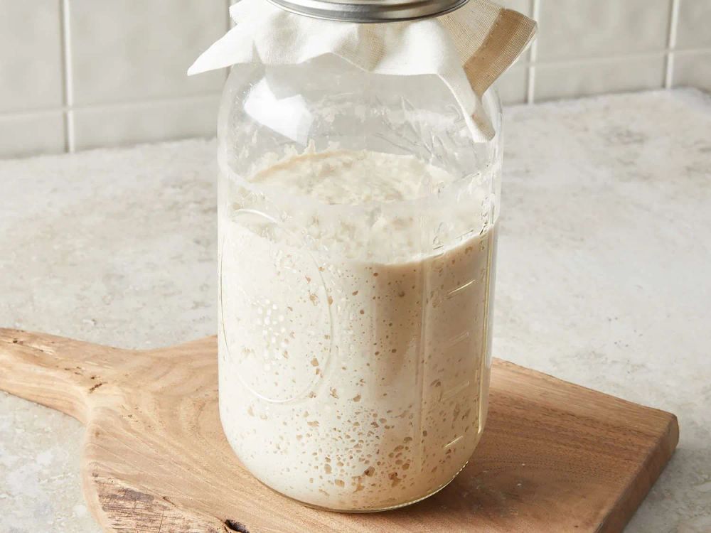 Sourdough Starter