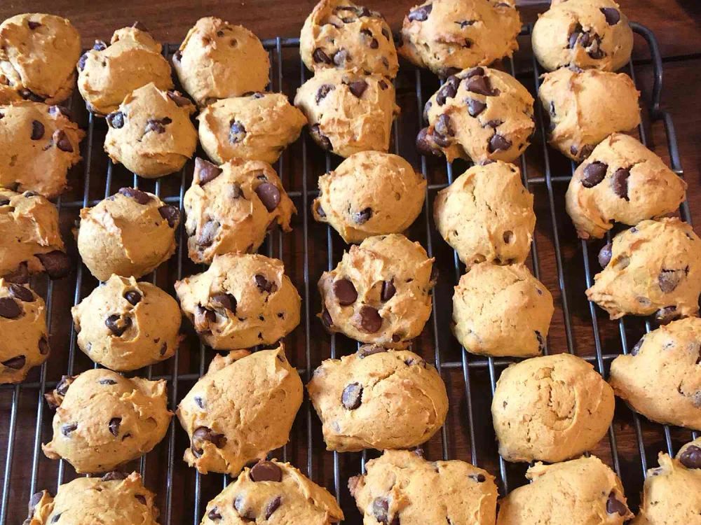 Pumpkin Chocolate Chip Cookies I