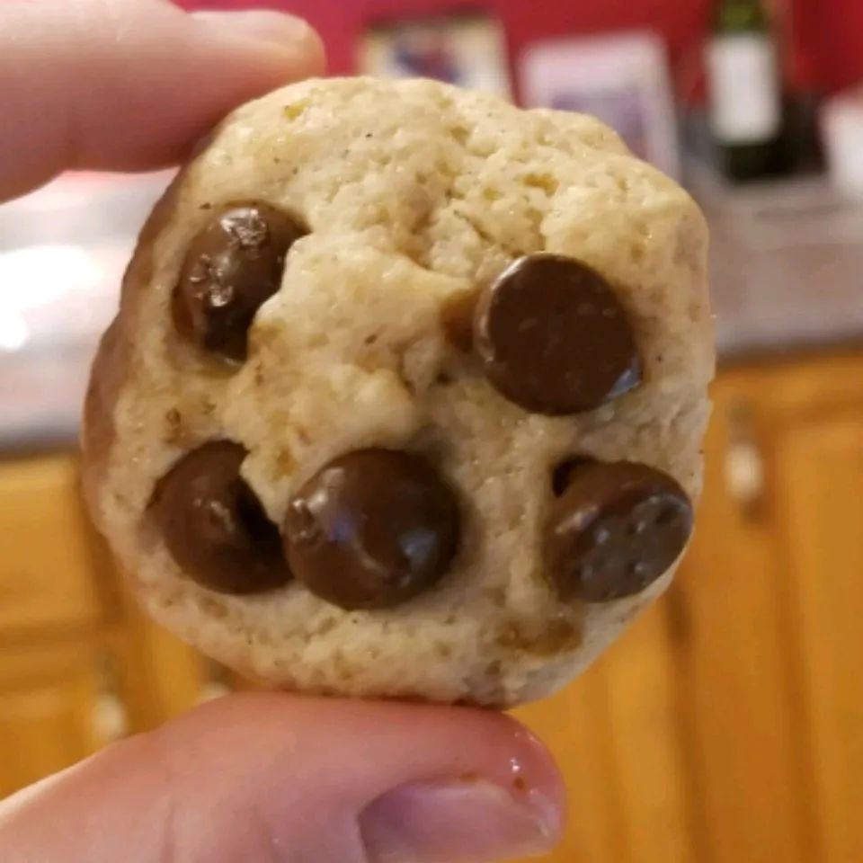 No Cholesterol Chocolate Chip